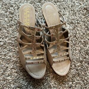 New York Transit heels